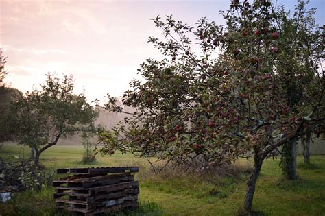 metal house cider esopus ny|This Small Batch Hudson Valley Cider Is Worth the .